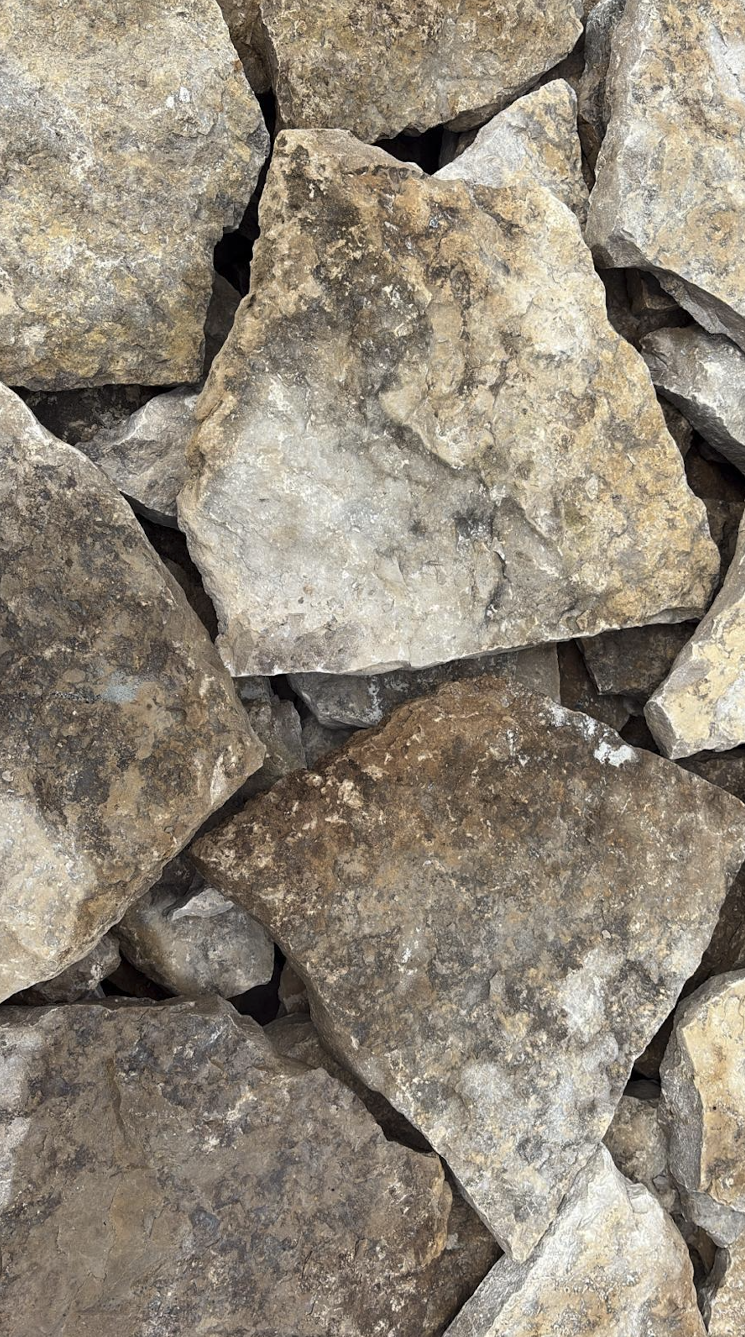Harvest Gold Limestone Thin Veneer - Random - Flats