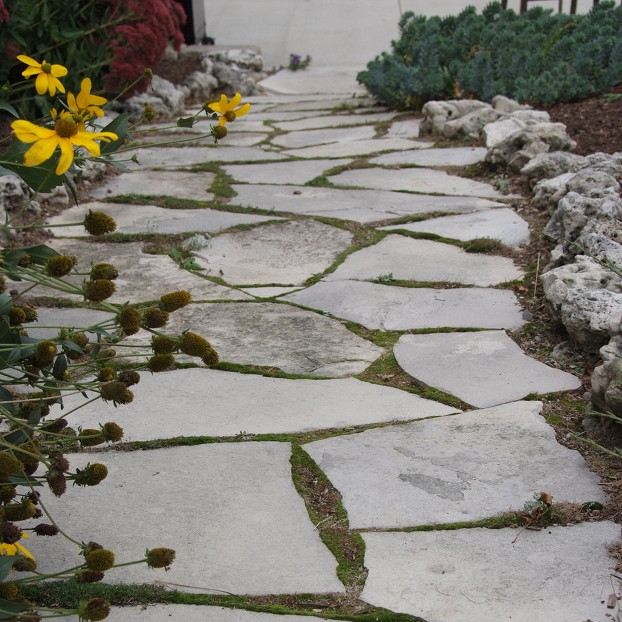 Charcoal limestone garden path flagstone