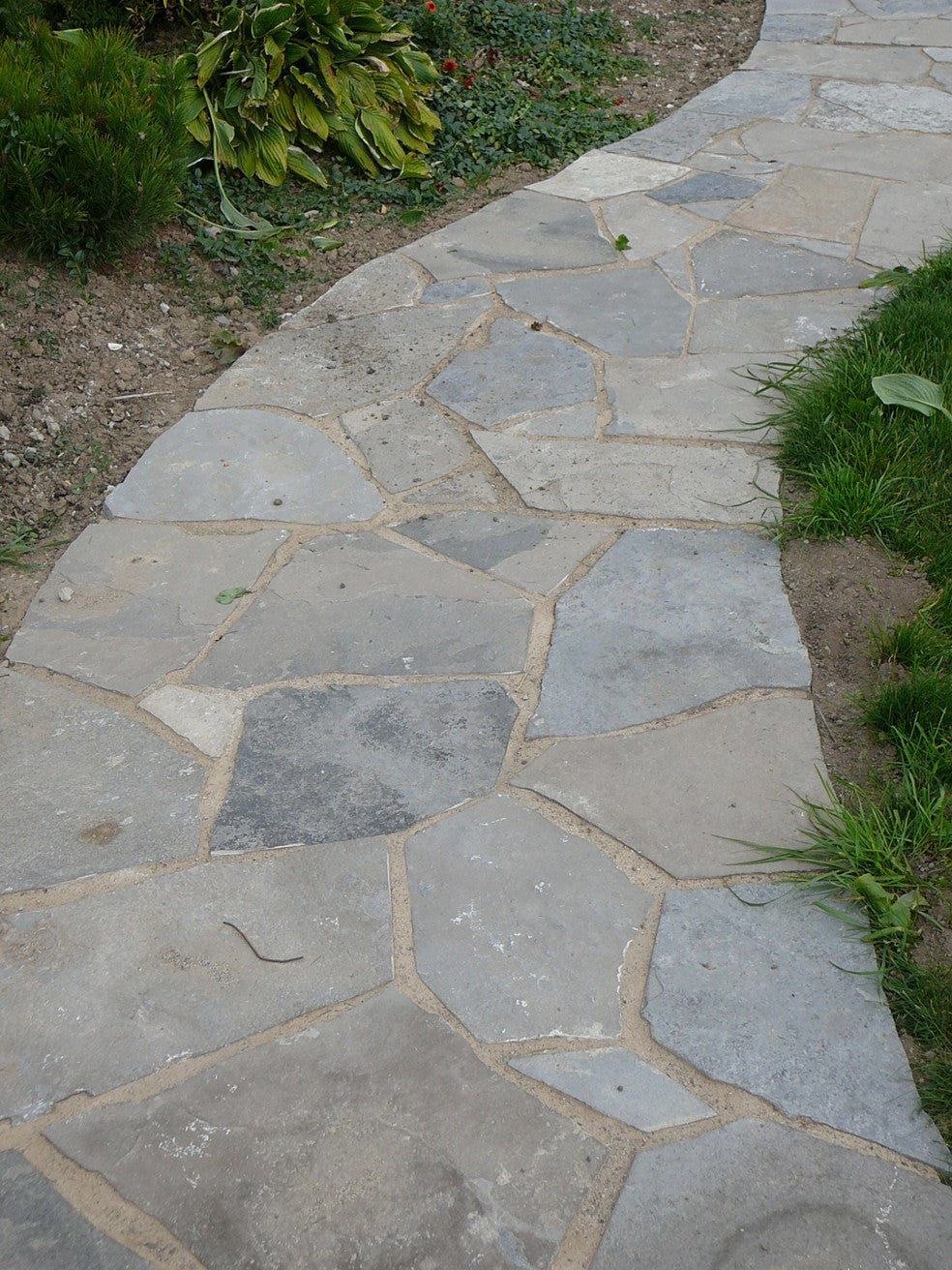 Oversized Tigerstripe limestone flagstone — full project view
