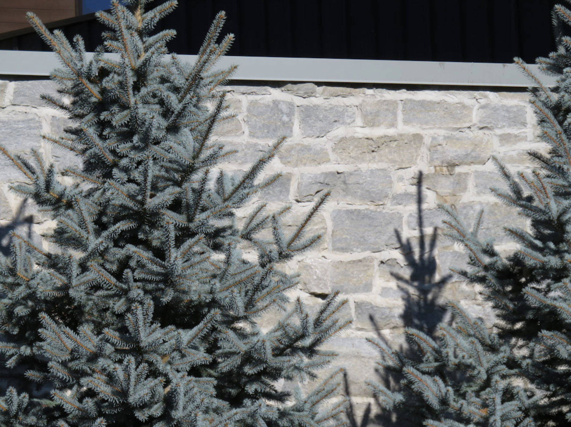 Weatheredge Limestone Ledgerock Thin Veneer - Corners