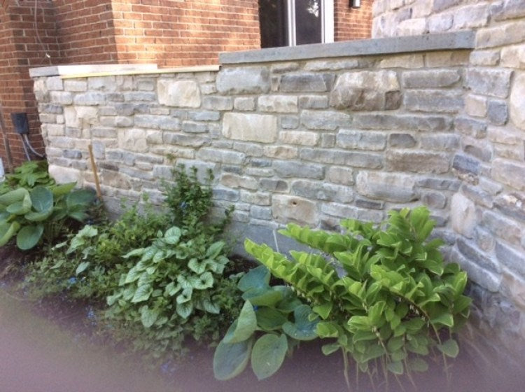 Limestone Blend #19 Ledgerock Thin Veneer Natural Stone - Flats