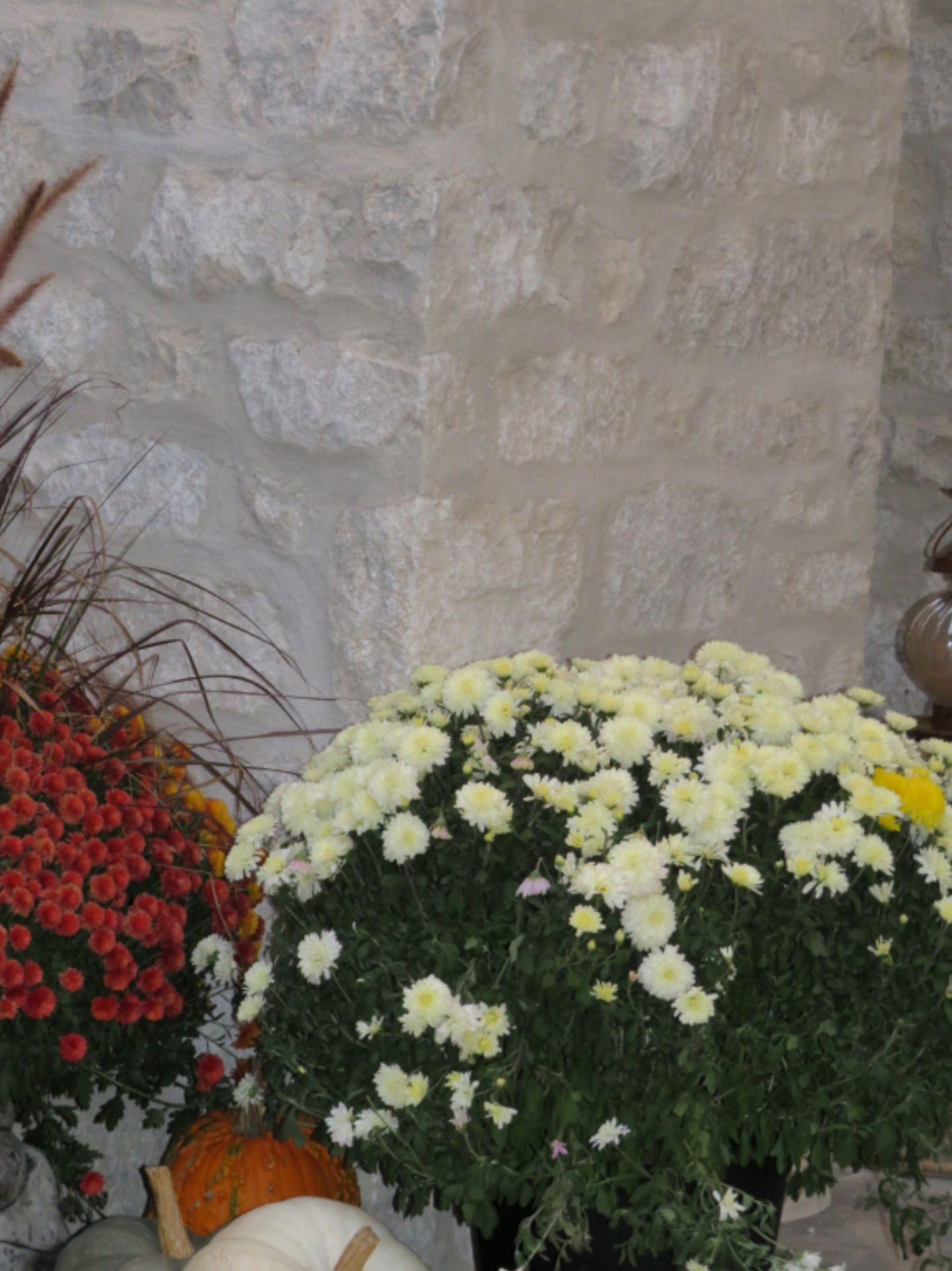 White Mist Ledgerock - Tumbled - Full Bed Building Stone