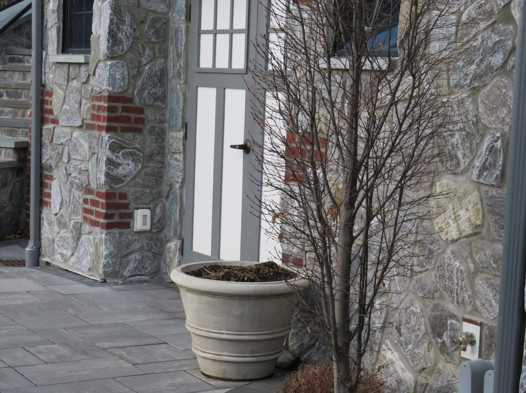 Elite Blue Granite Random Thin Veneer Natural Stone - Tumbled - Flats