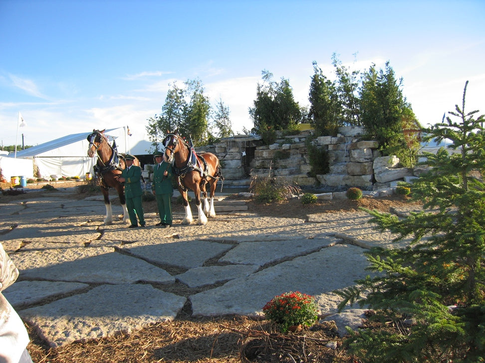 Natural Harvest Gold limestone sidewalk slabs — harvest gold limestone patio oversized flagstone