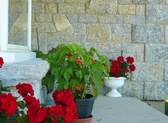 Weatheredge Limestone Bed Face - Thin Veneer - Split Face Sawn Height Tumbled - Corners