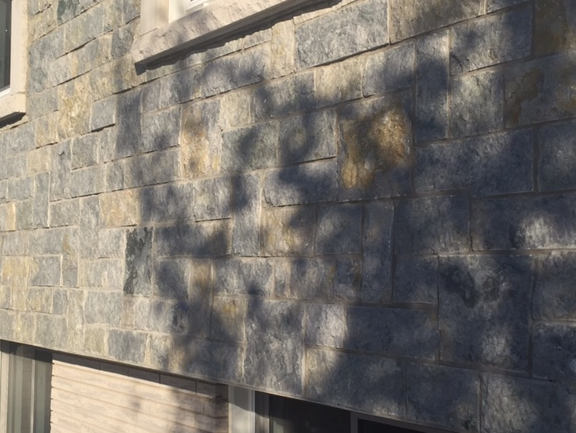 Weatheredge Limestone Bed Face - Thin Veneer - 7 3/4" Sawn Height, Random Lengths - Flats