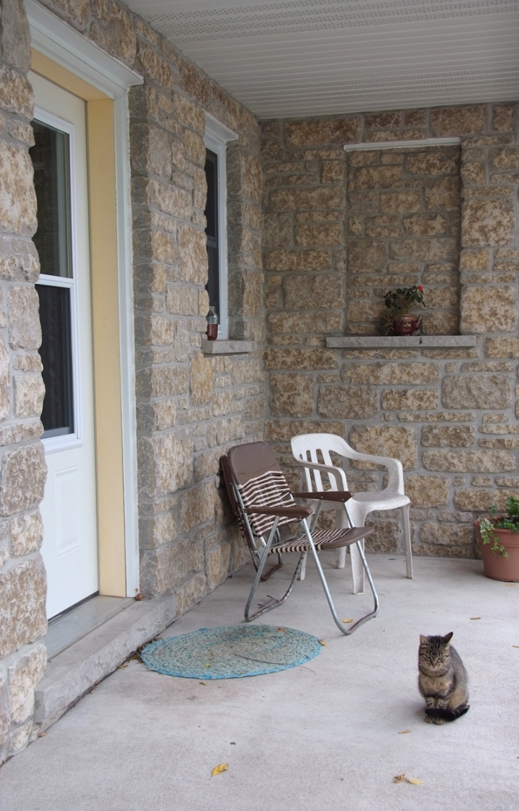 Harvest Gold Limestone Thin Veneer - Sawn Height Tumbled - Flats
